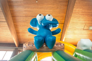 éléphant sur chateau gonflable virton, arlon et luxembourg location tobogan xxl