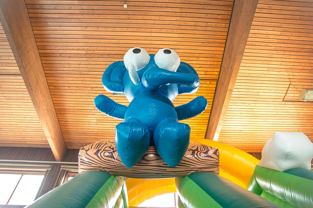 éléphant sur chateau gonflable virton, arlon et luxembourg location tobogan xxl