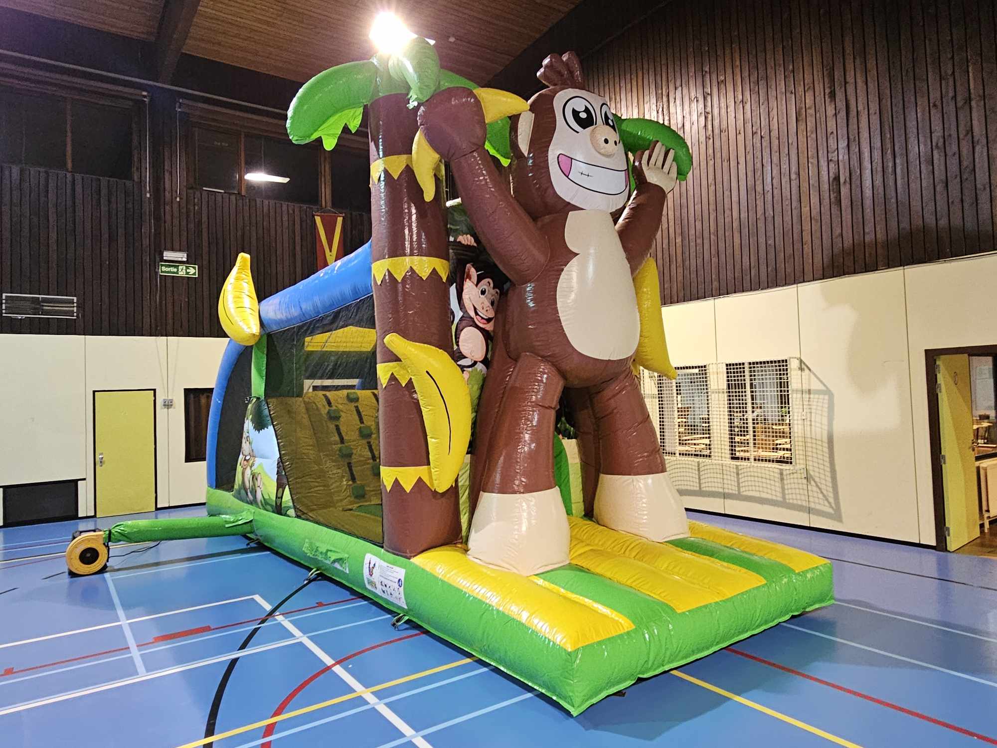 Château Gonflable Singe Multiplay (1)