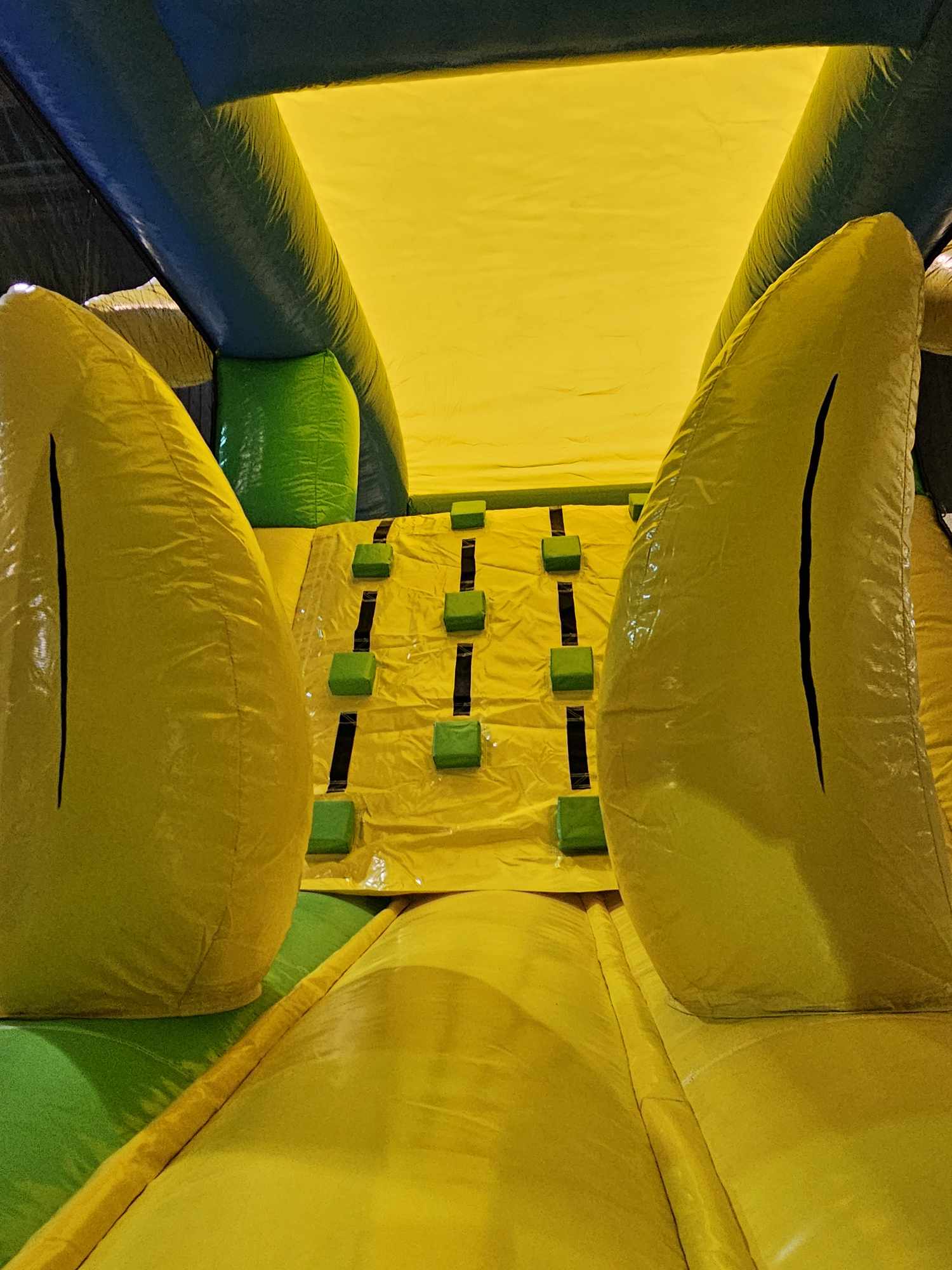 Château Gonflable Singe Multiplay (1)